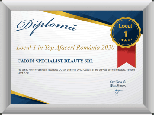 Locul 1 in Top Afaceri Romania 2020