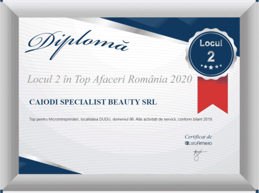 Locul 2 in Top Afaceri Romania 2020